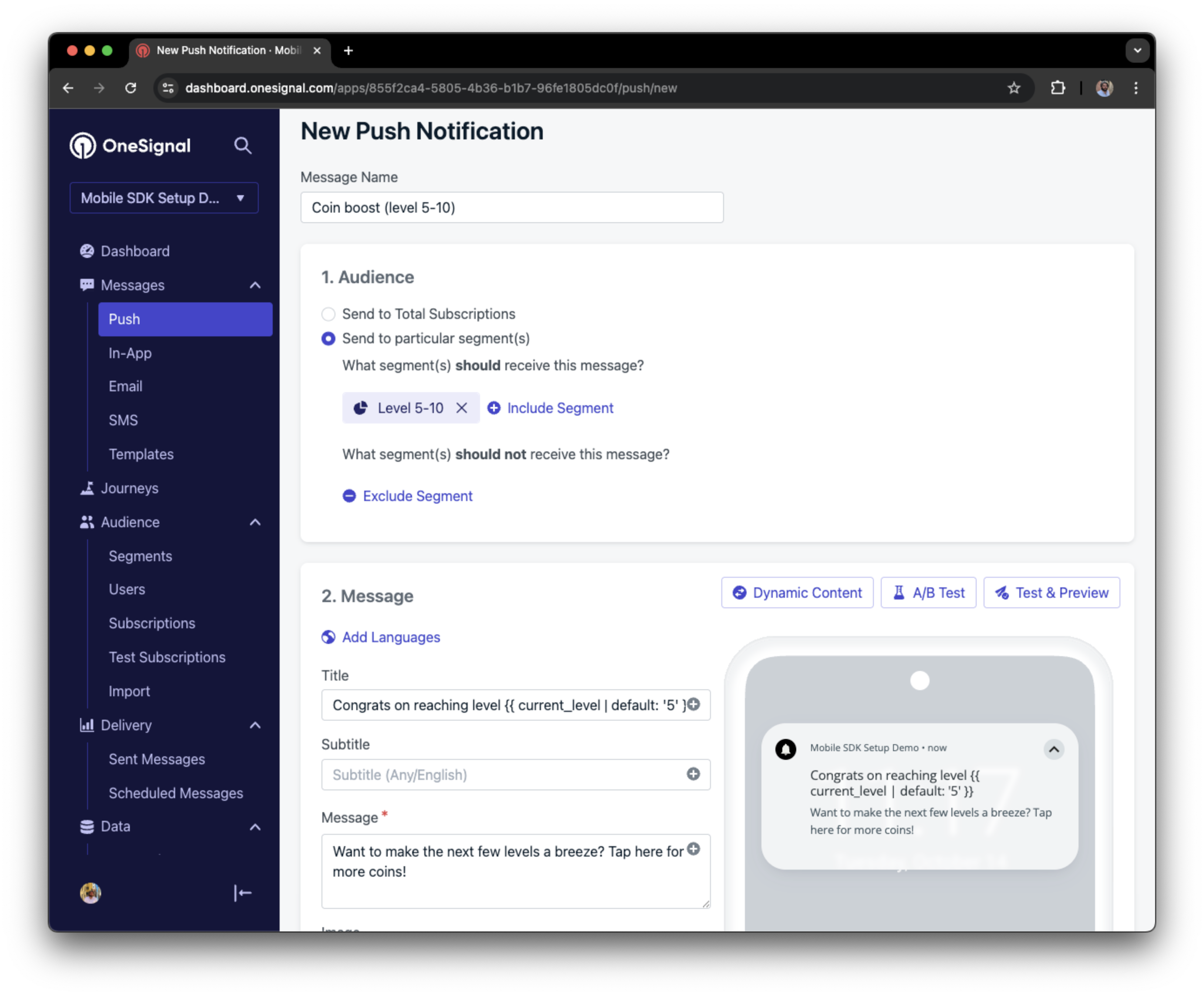 Screenshot showing a push notification targeting the Level 5-10 segment with a personalized message