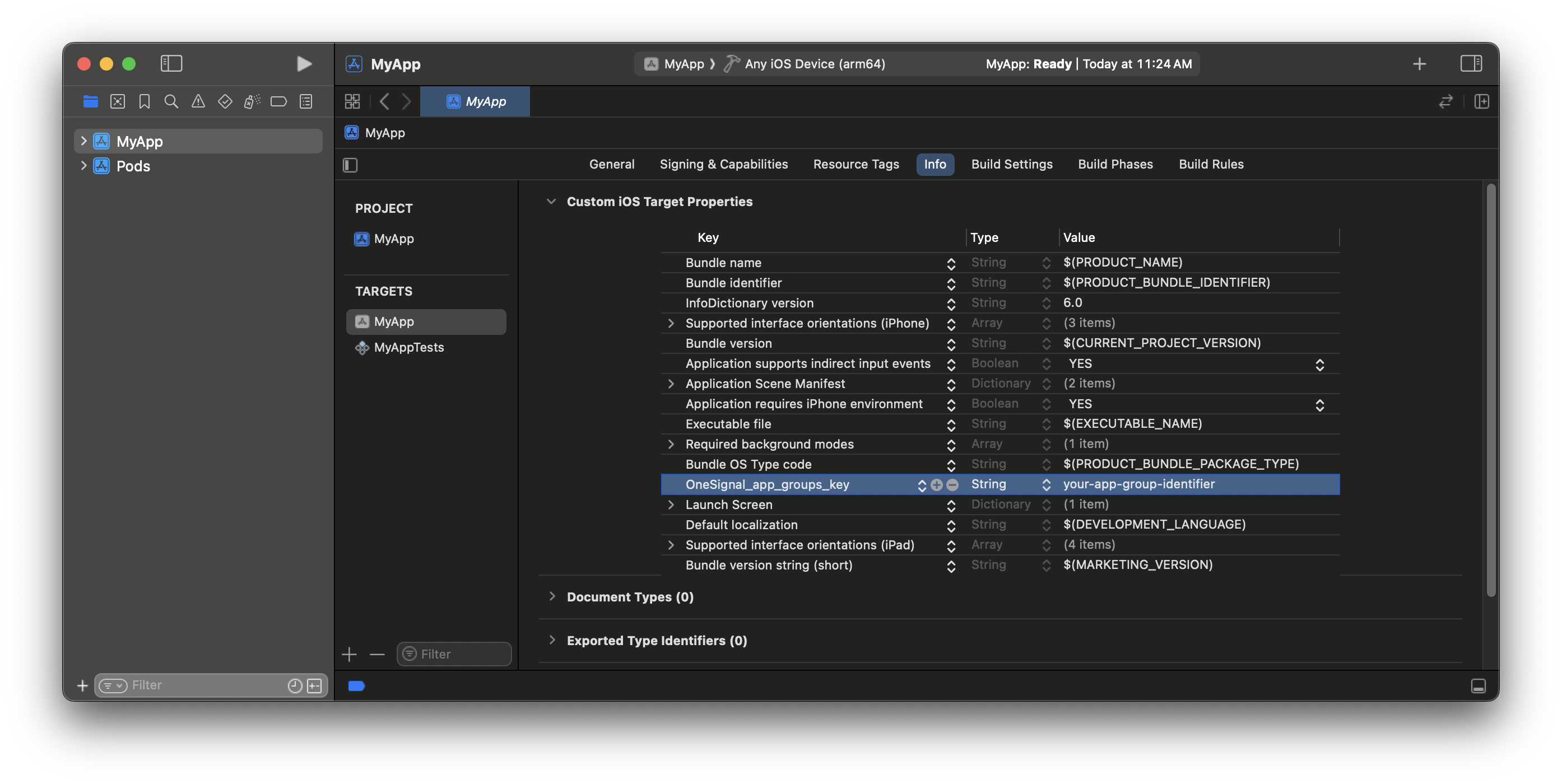 Custom app group set inside the main target`Info.plist`.